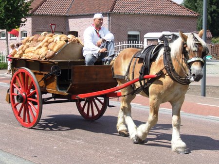 Foto 100 jaar landelijke gilde (15 augustus 2008)