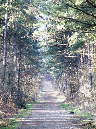 Foto Foto's wandeling Rotem (14 februari 2009)